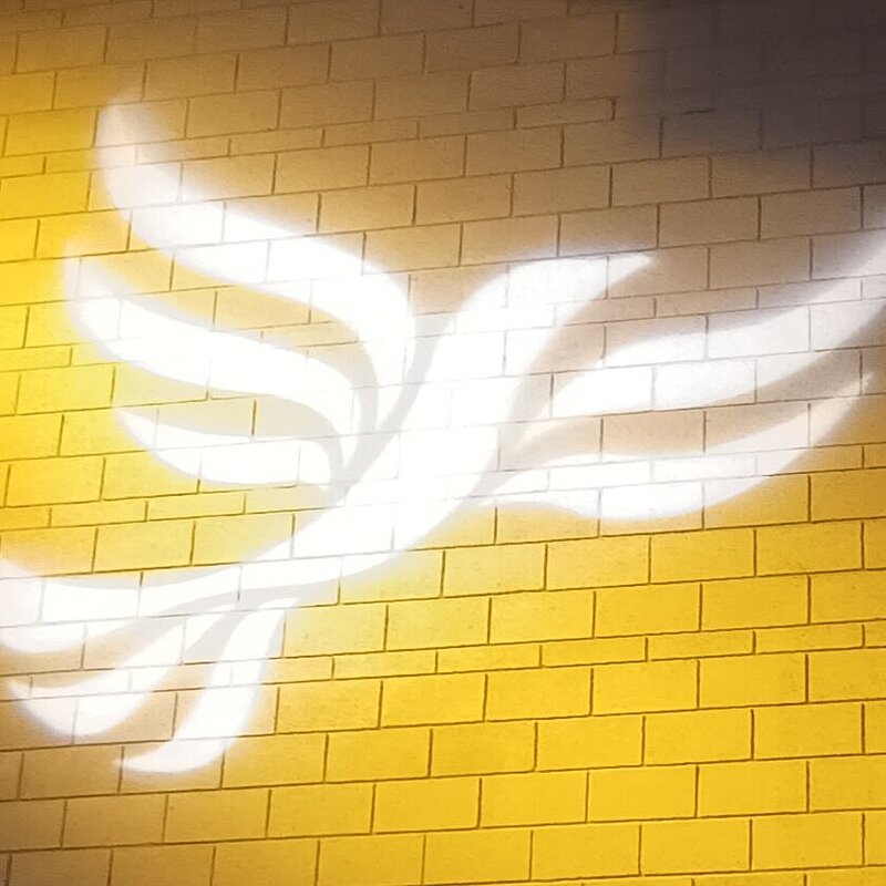 The Liberal Democrats Bird of Liberty logo. This is a placeholder while we source an appropriate portrait photo.
